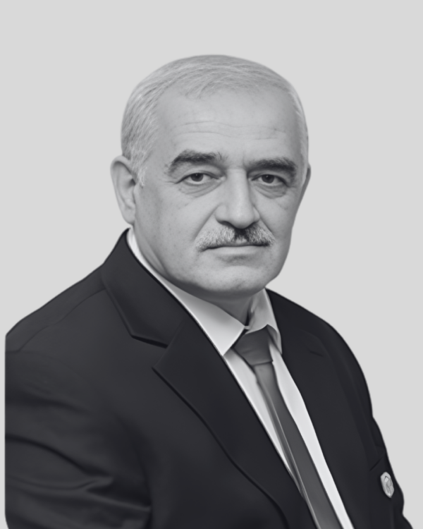 Prof. Dr. Eng. Abdulnasir Hossen